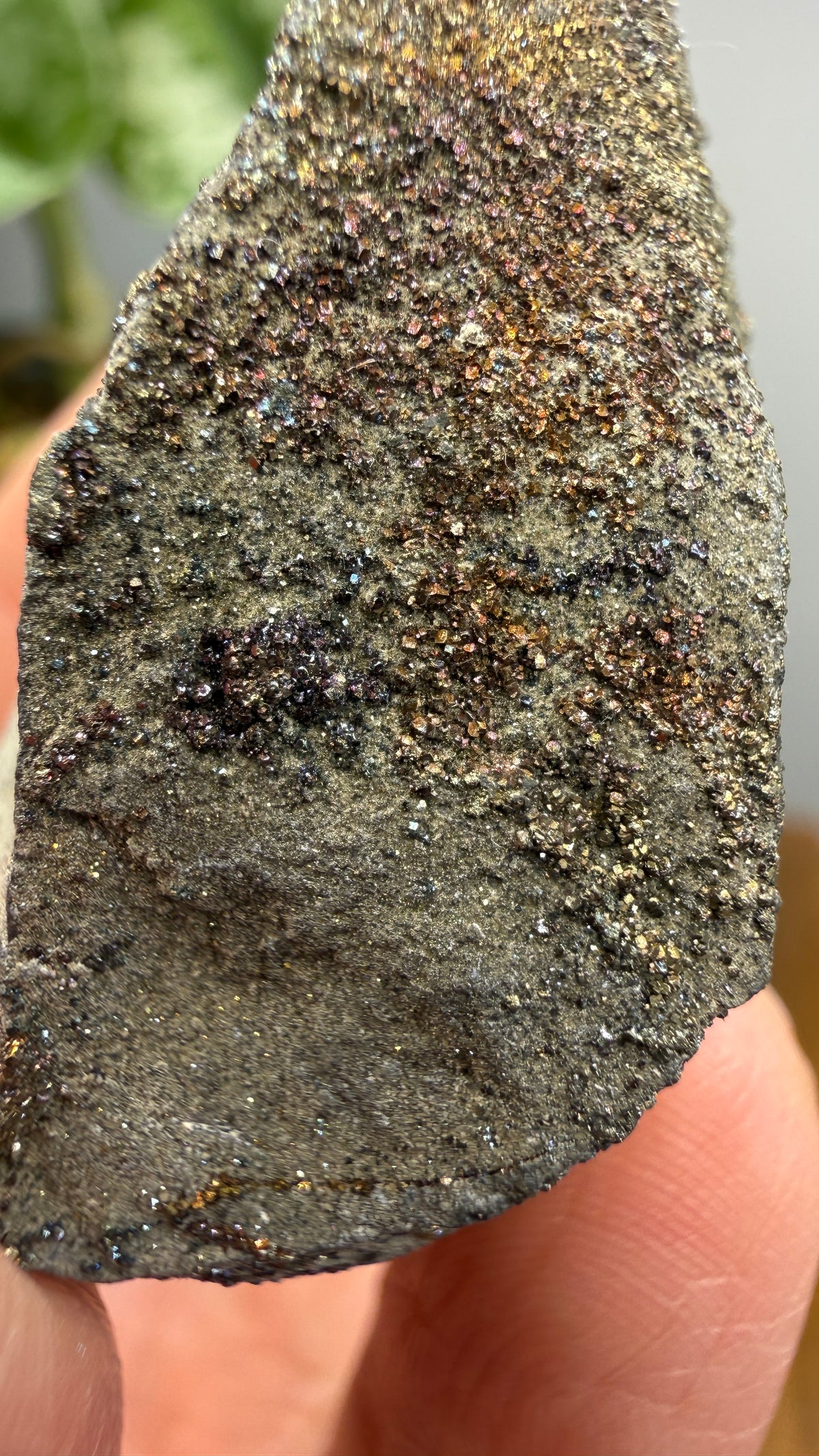 Rainbow Pyrite- Volga River, Ulyanovsk Oblast, Russia