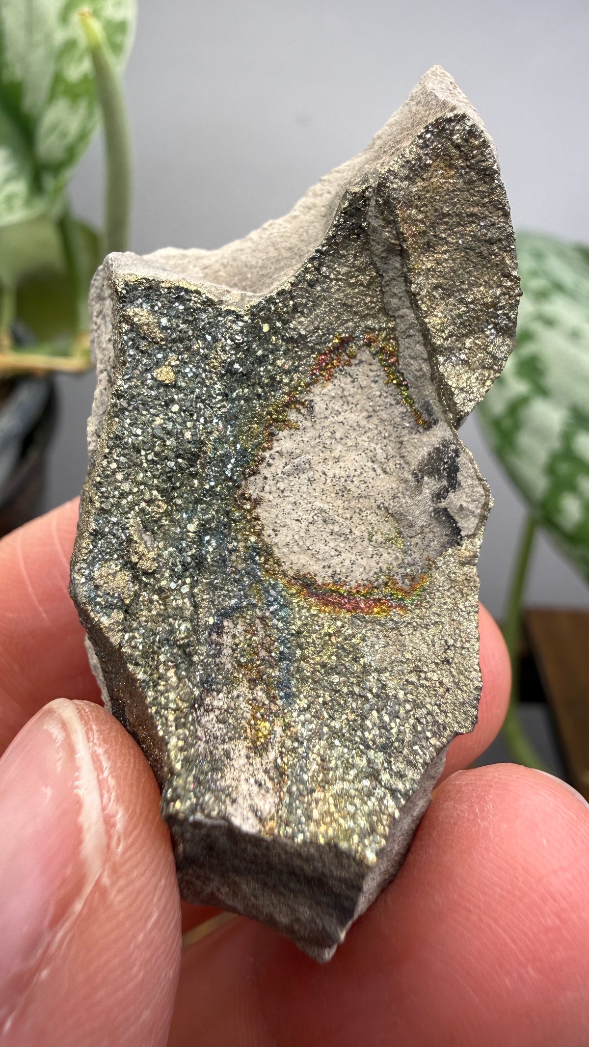 Rainbow Pyrite- Volga River, Ulyanovsk Oblast, Russia