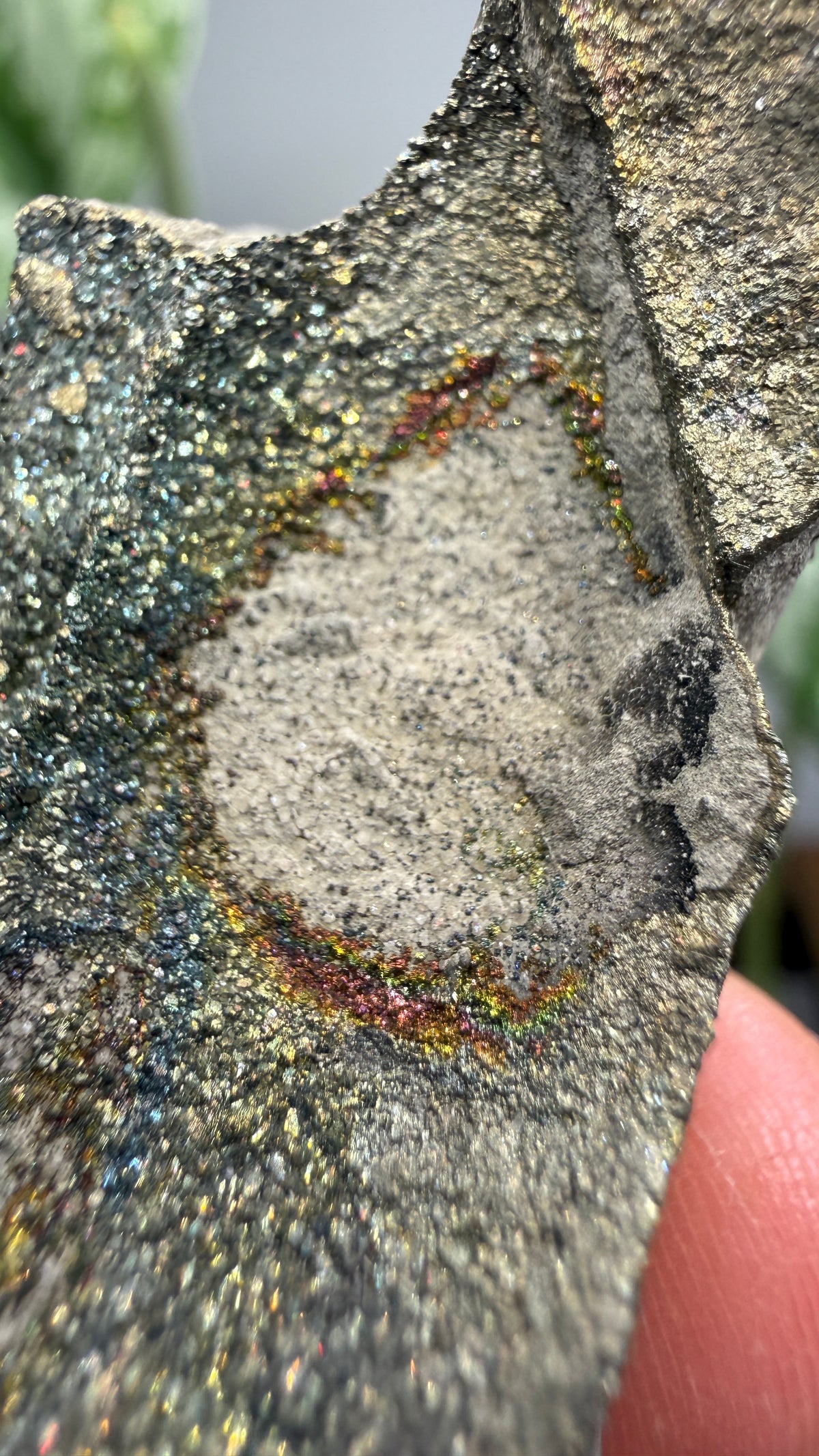 Rainbow Pyrite- Volga River, Ulyanovsk Oblast, Russia