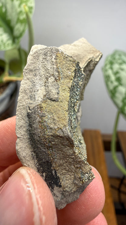 Rainbow Pyrite- Volga River, Ulyanovsk Oblast, Russia