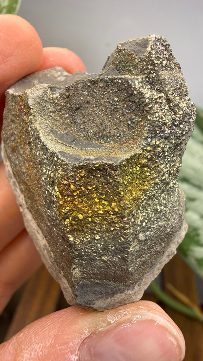 Rainbow Pyrite- Volga River, Ulyanovsk Oblast, Russia