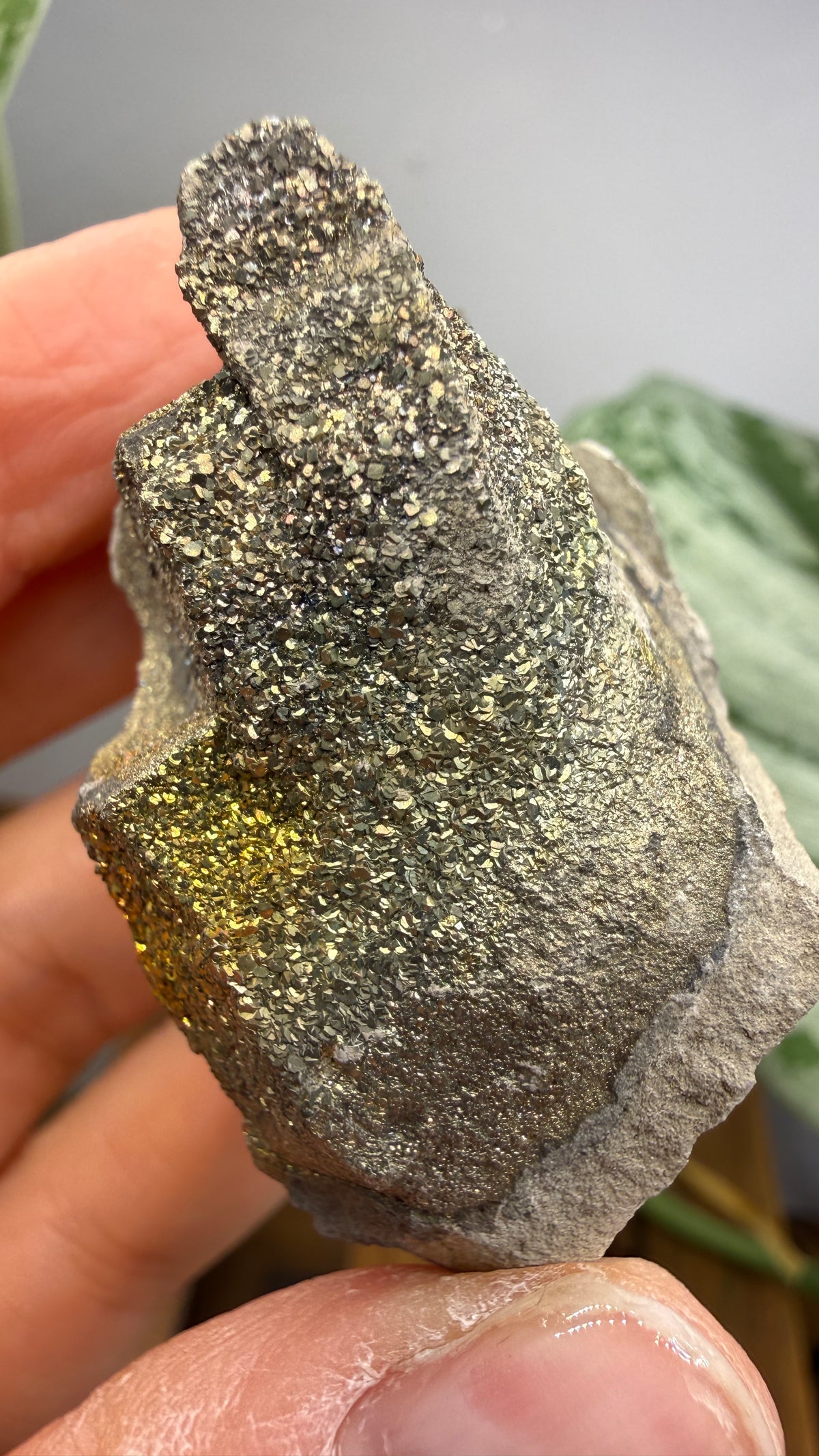 Rainbow Pyrite- Volga River, Ulyanovsk Oblast, Russia