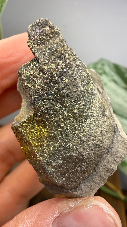 Rainbow Pyrite- Volga River, Ulyanovsk Oblast, Russia