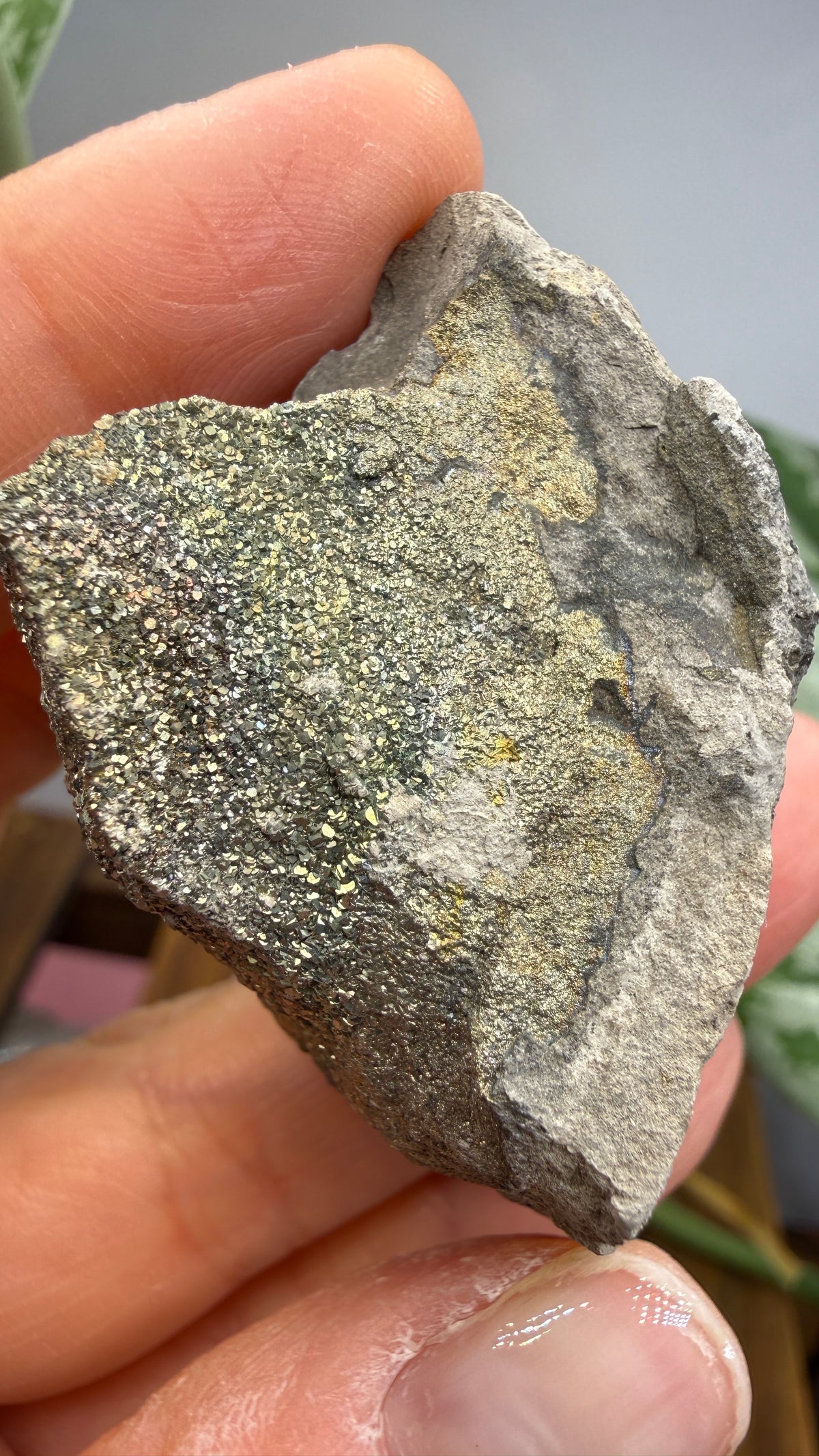 Rainbow Pyrite- Volga River, Ulyanovsk Oblast, Russia