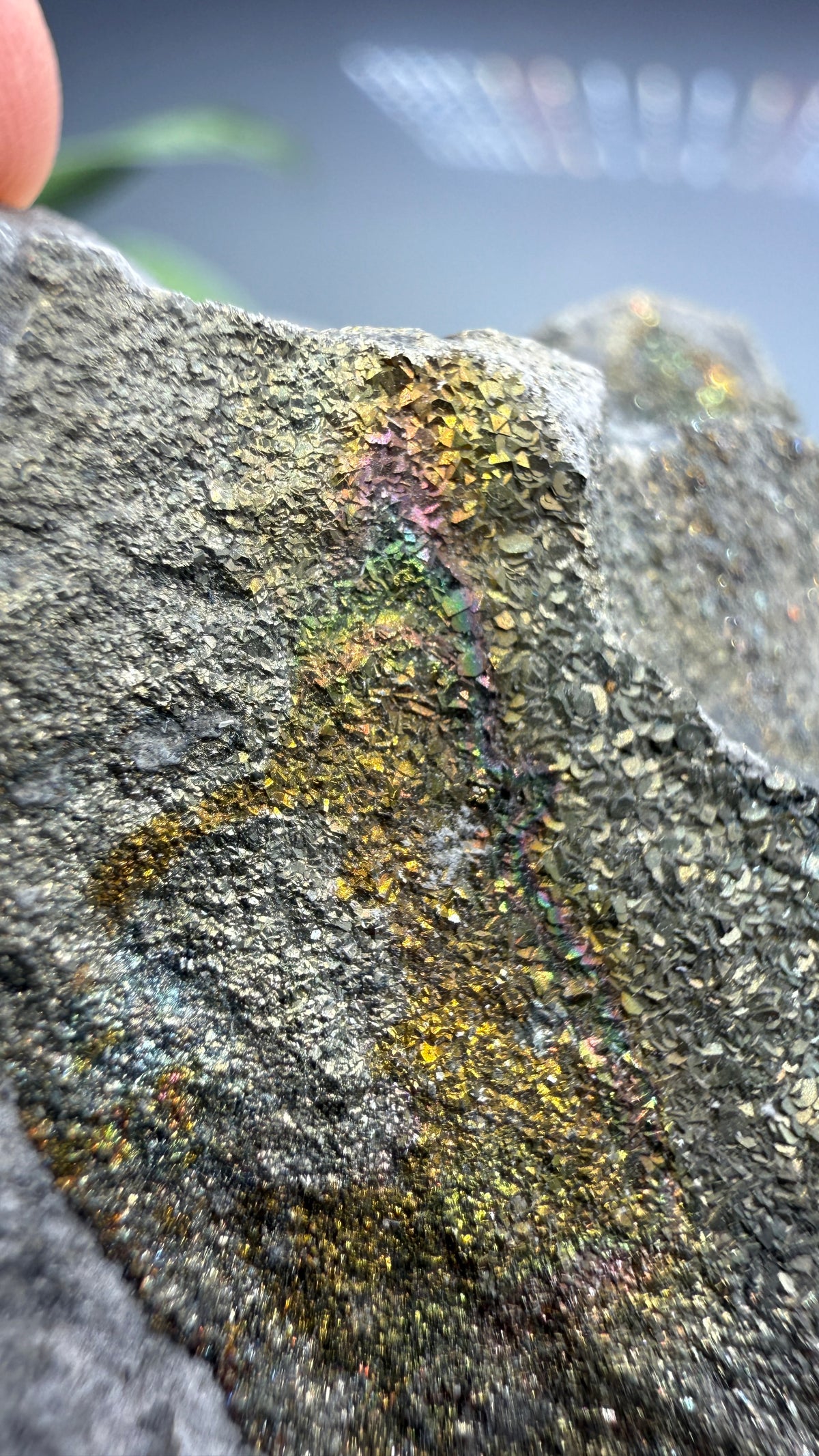 Rainbow Pyrite- Volga River, Ulyanovsk Oblast, Russia
