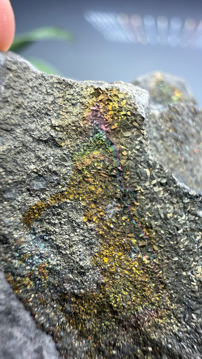 Rainbow Pyrite- Volga River, Ulyanovsk Oblast, Russia