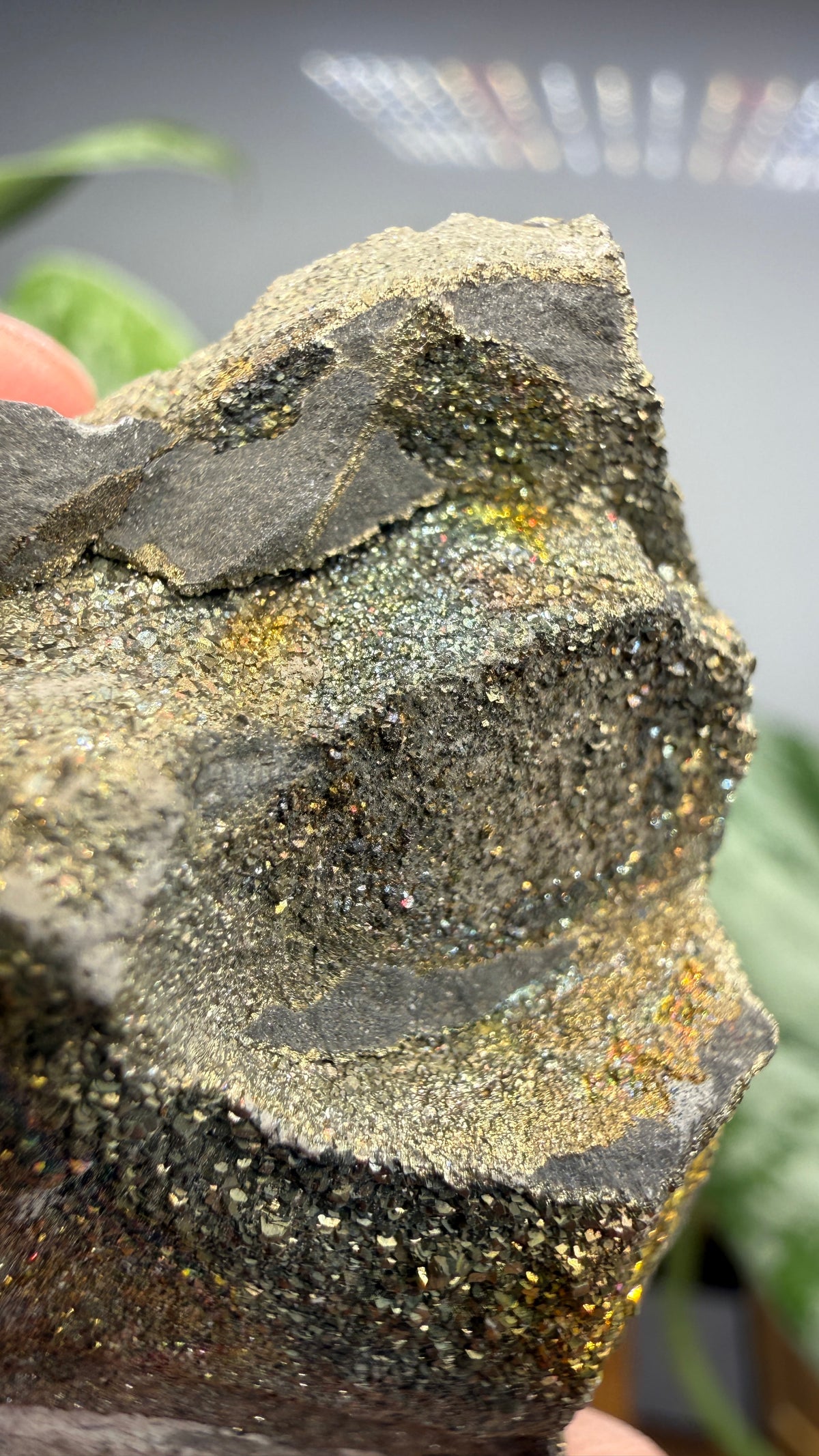 Rainbow Pyrite- Volga River, Ulyanovsk Oblast, Russia