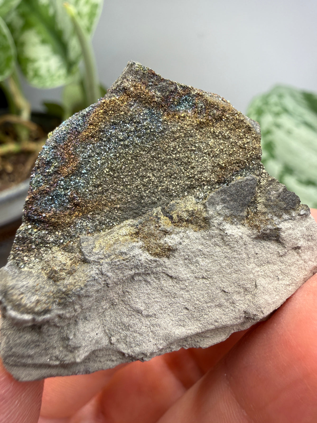 Rainbow Pyrite- Volga River, Ulyanovsk Oblast, Russia