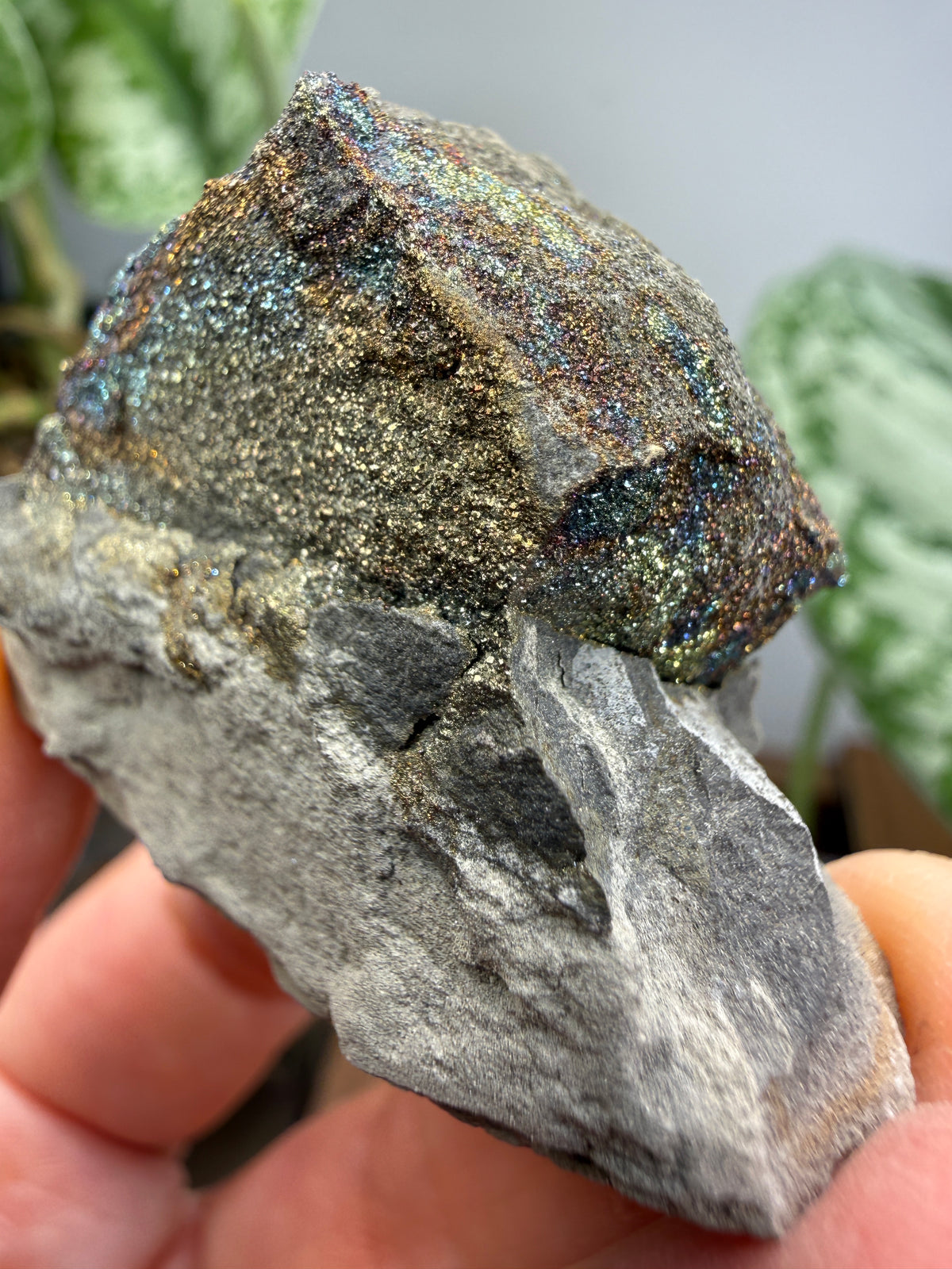 Rainbow Pyrite- Volga River, Ulyanovsk Oblast, Russia