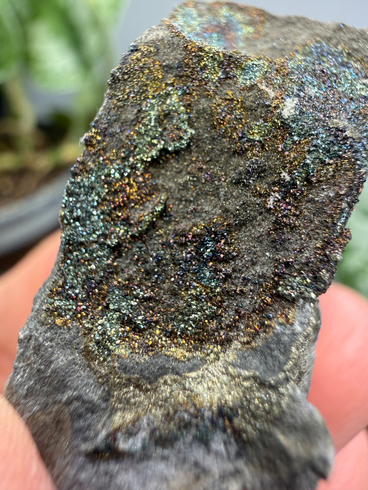 Rainbow Pyrite- Volga River, Ulyanovsk Oblast, Russia