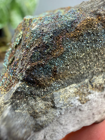 Rainbow Pyrite- Volga River, Ulyanovsk Oblast, Russia