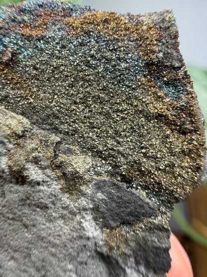 Rainbow Pyrite- Volga River, Ulyanovsk Oblast, Russia