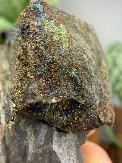 Rainbow Pyrite- Volga River, Ulyanovsk Oblast, Russia