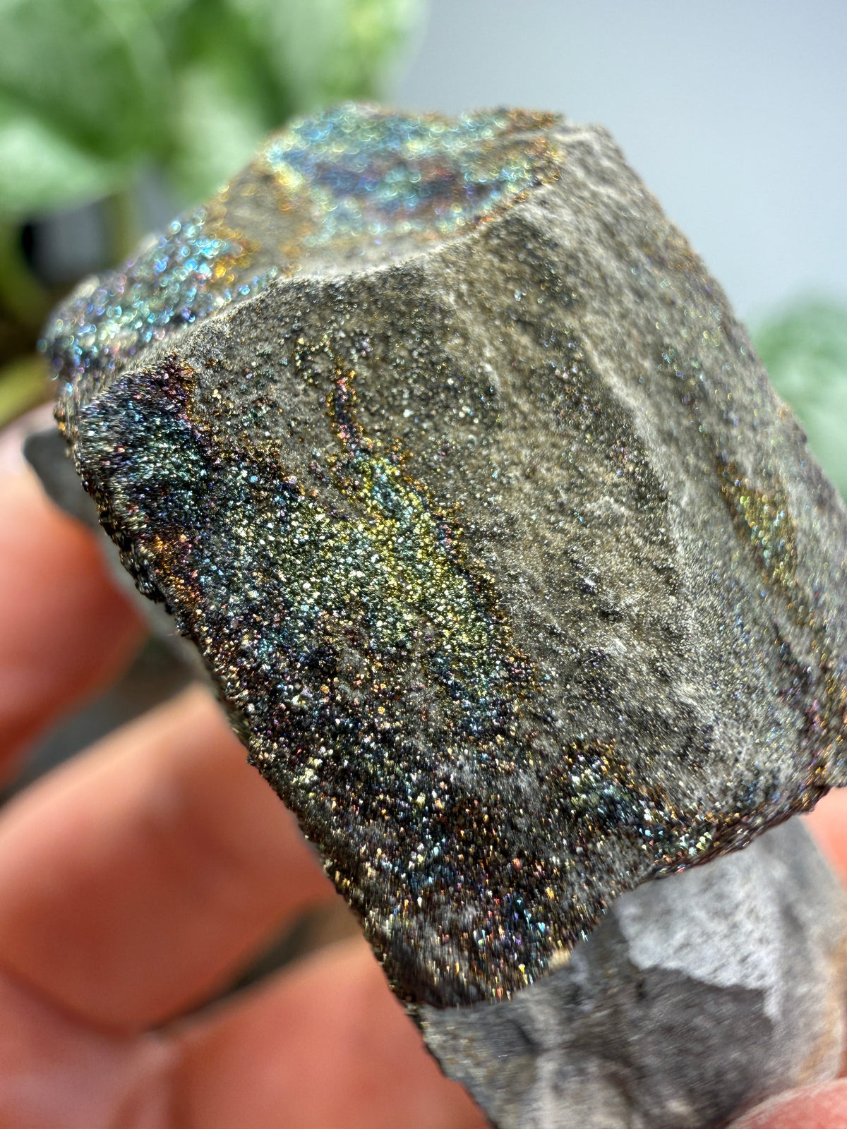 Rainbow Pyrite- Volga River, Ulyanovsk Oblast, Russia