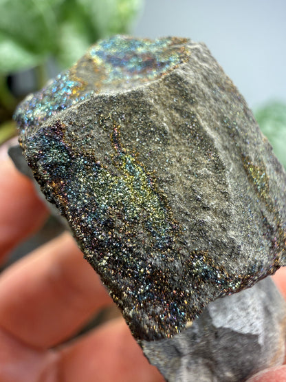 Rainbow Pyrite- Volga River, Ulyanovsk Oblast, Russia