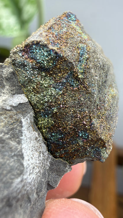 Rainbow Pyrite- Volga River, Ulyanovsk Oblast, Russia