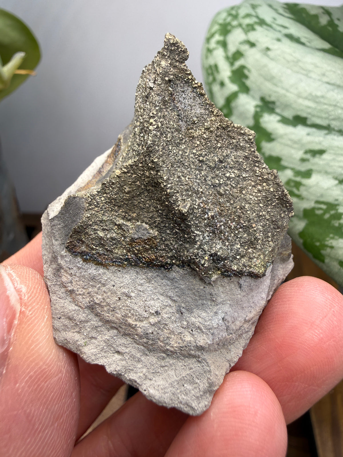 Rainbow Pyrite- Volga River, Ulyanovsk Oblast, Russia