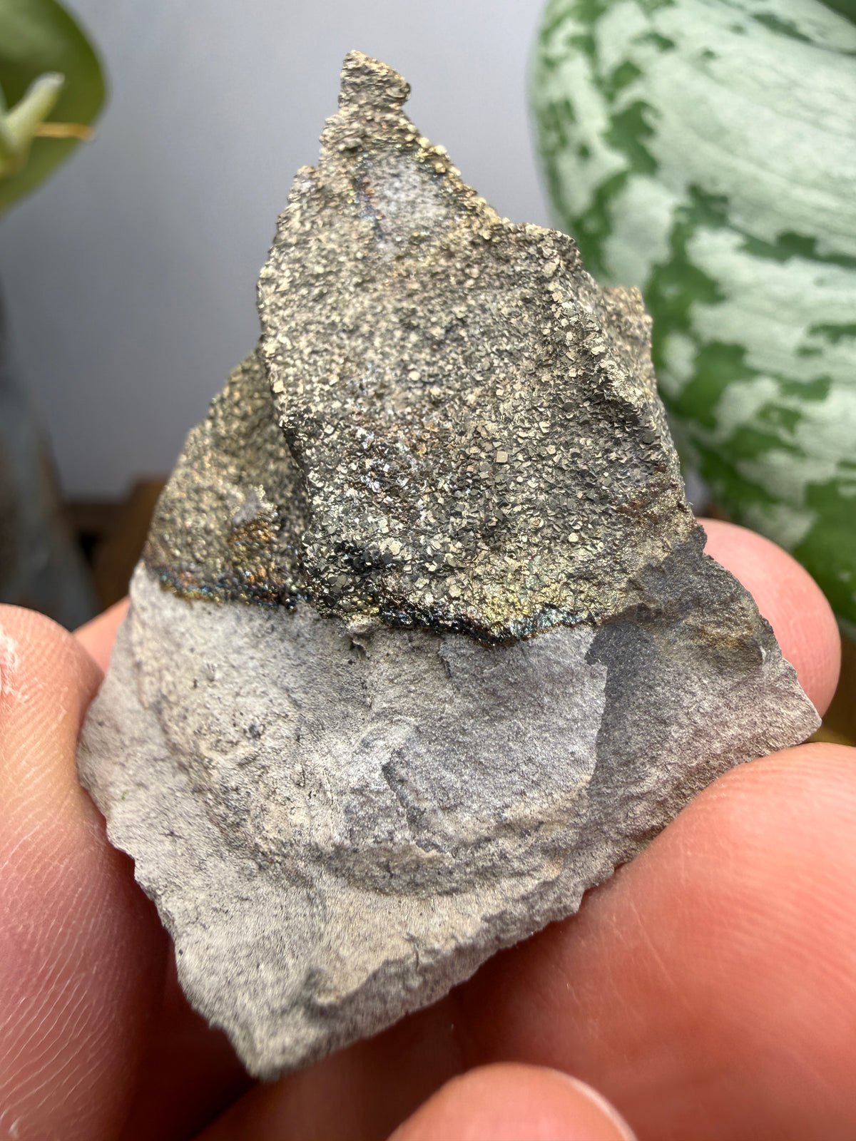 Rainbow Pyrite- Volga River, Ulyanovsk Oblast, Russia