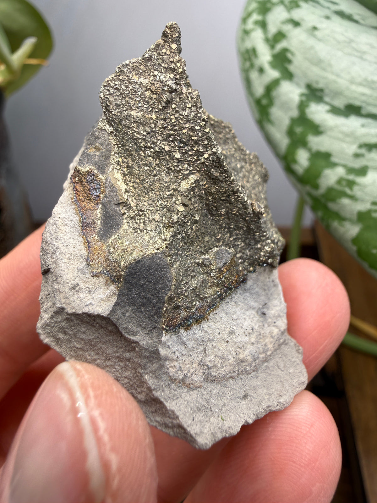 Rainbow Pyrite- Volga River, Ulyanovsk Oblast, Russia