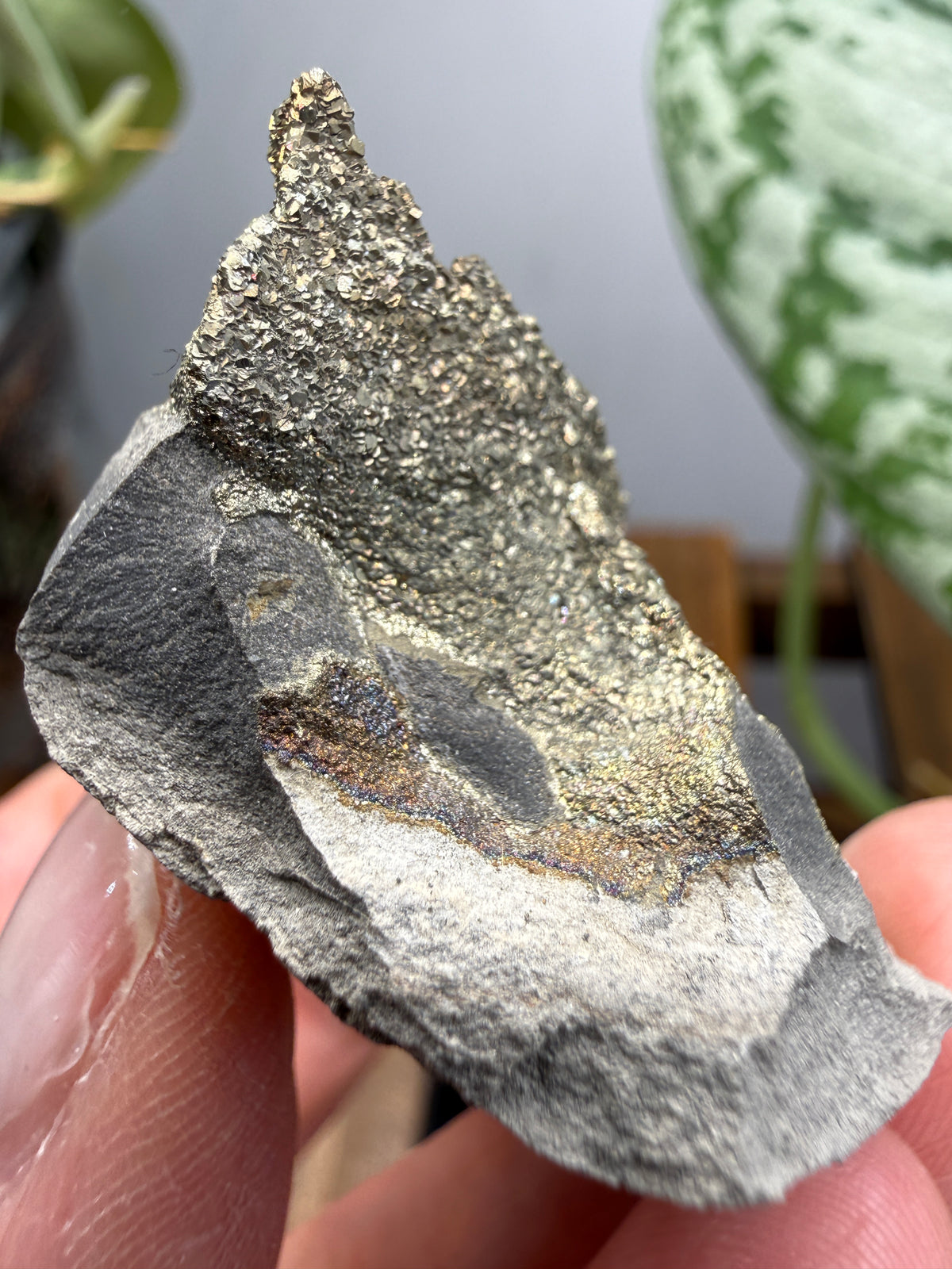 Rainbow Pyrite- Volga River, Ulyanovsk Oblast, Russia