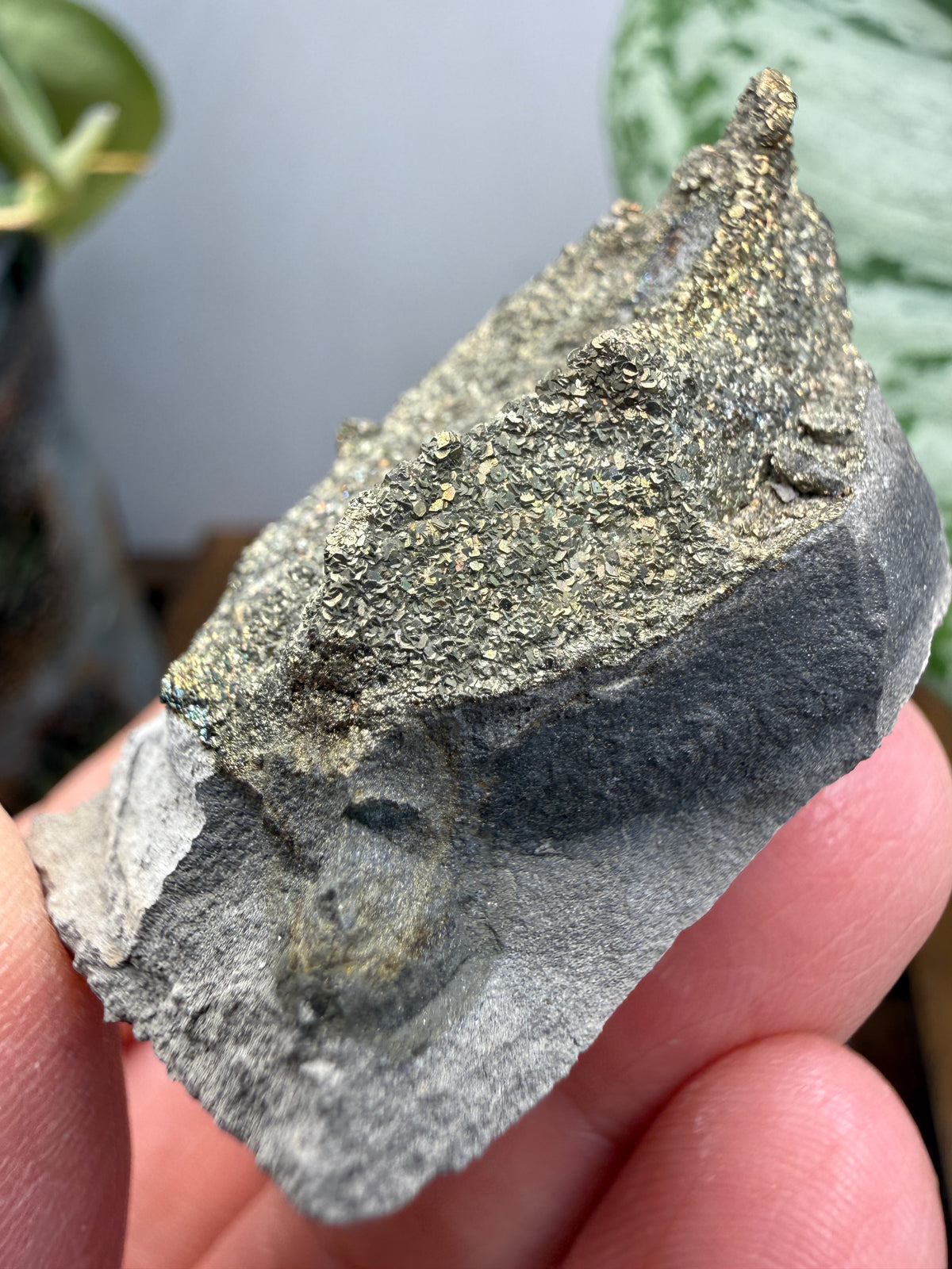 Rainbow Pyrite- Volga River, Ulyanovsk Oblast, Russia