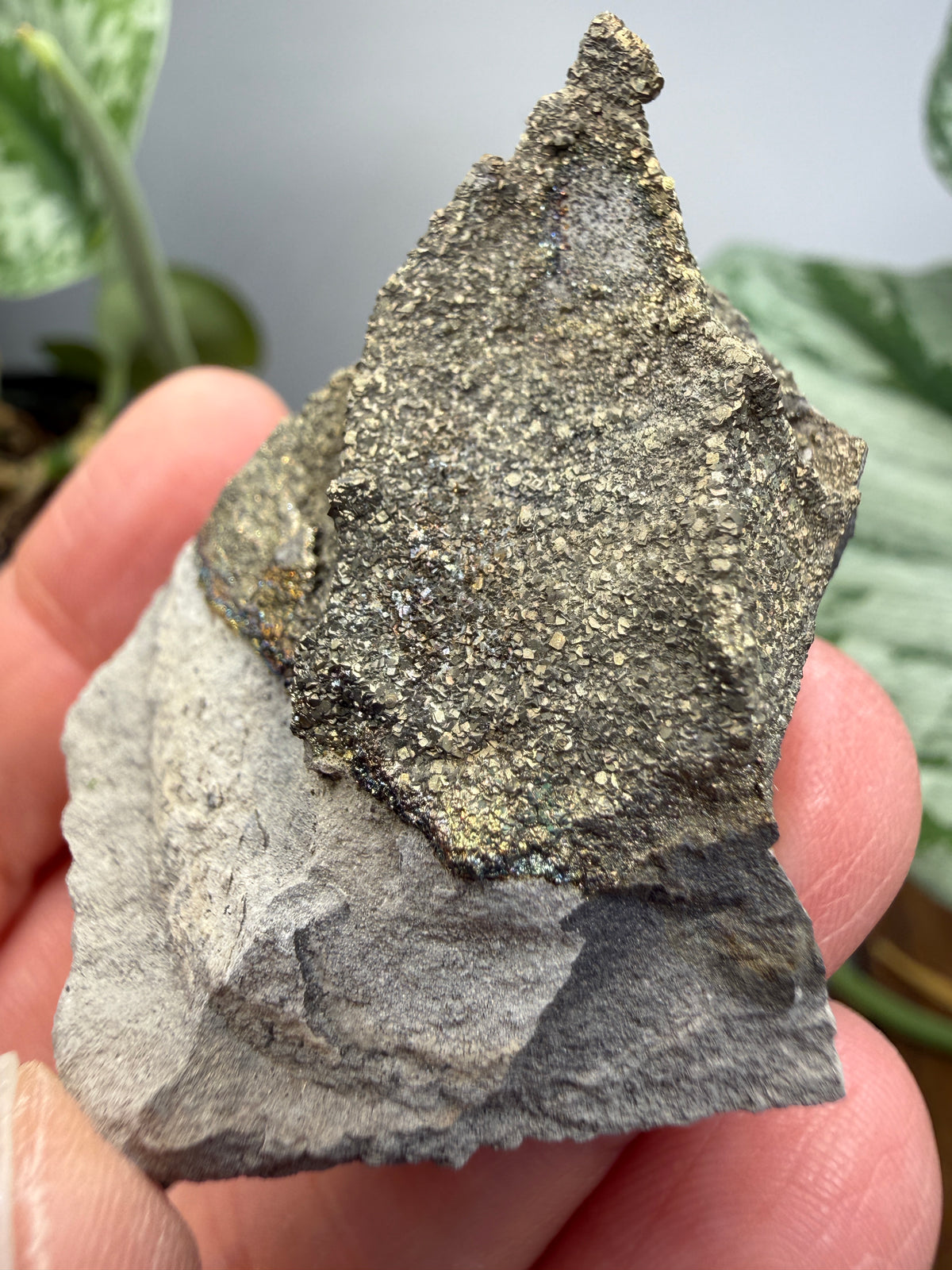 Rainbow Pyrite- Volga River, Ulyanovsk Oblast, Russia