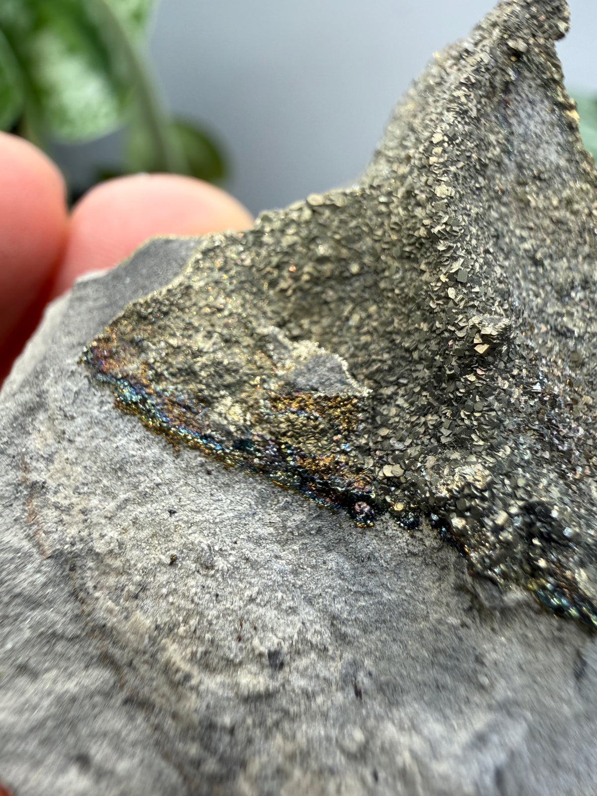 Rainbow Pyrite- Volga River, Ulyanovsk Oblast, Russia