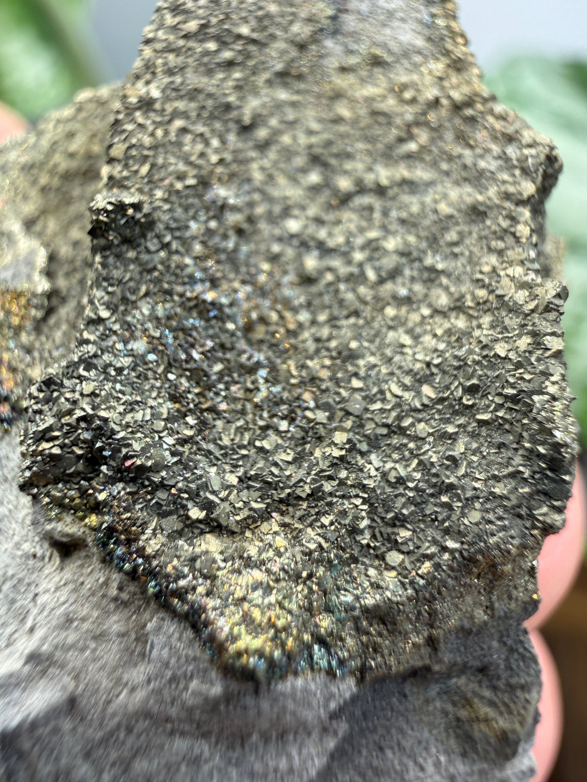 Rainbow Pyrite- Volga River, Ulyanovsk Oblast, Russia