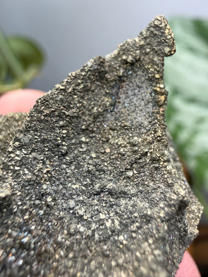 Rainbow Pyrite- Volga River, Ulyanovsk Oblast, Russia