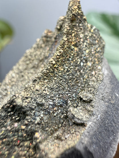 Rainbow Pyrite- Volga River, Ulyanovsk Oblast, Russia