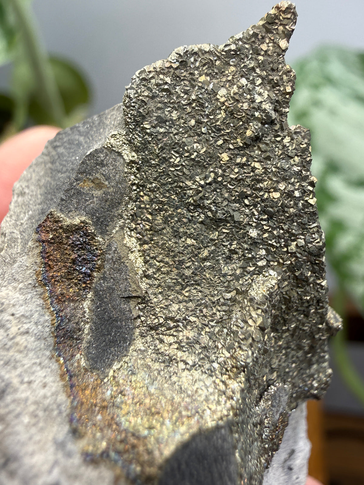 Rainbow Pyrite- Volga River, Ulyanovsk Oblast, Russia