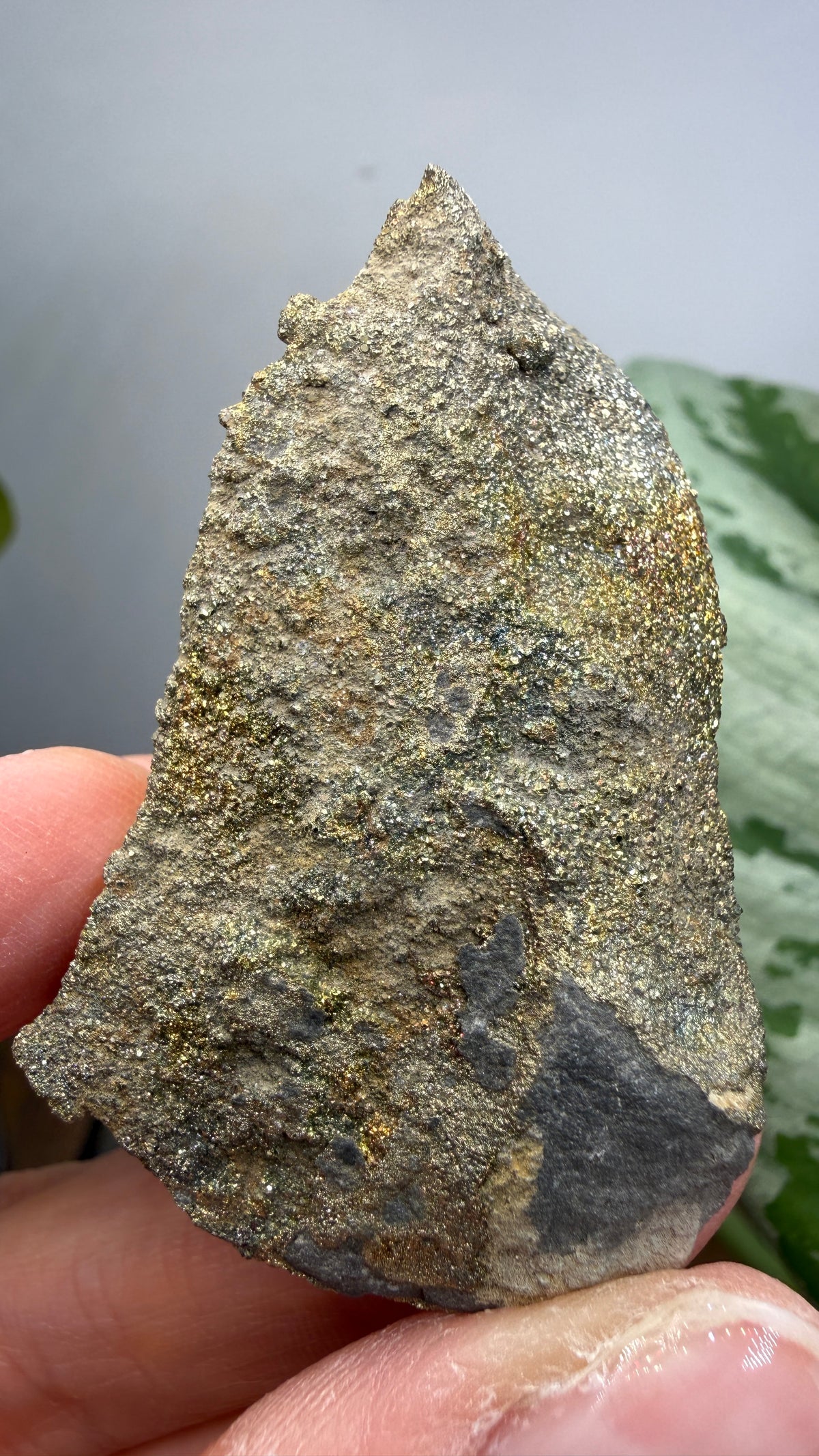 Rainbow Pyrite- Volga River, Ulyanovsk Oblast, Russia