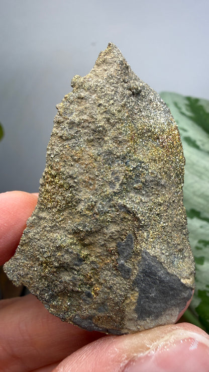 Rainbow Pyrite- Volga River, Ulyanovsk Oblast, Russia