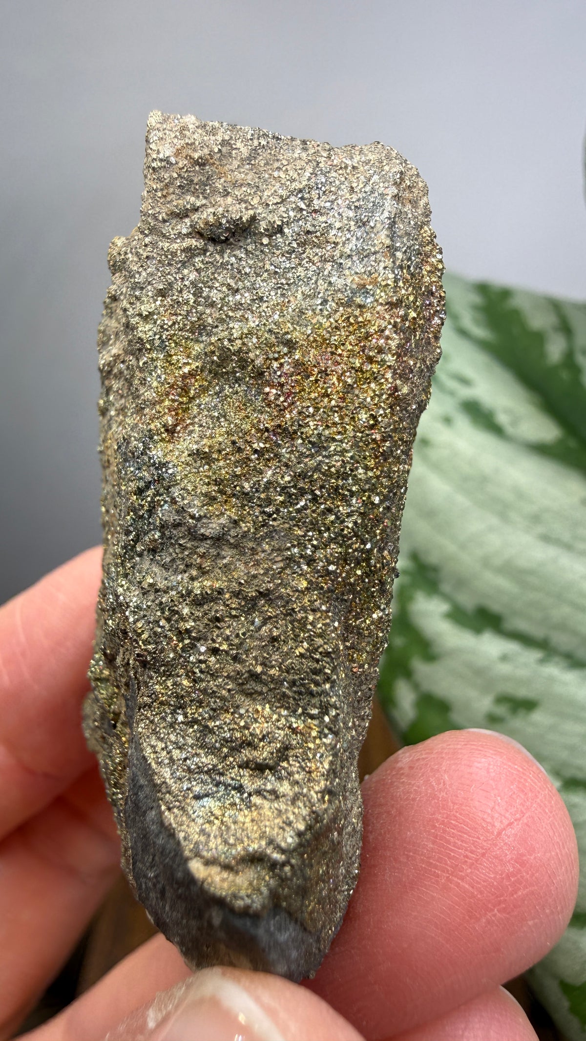 Rainbow Pyrite- Volga River, Ulyanovsk Oblast, Russia