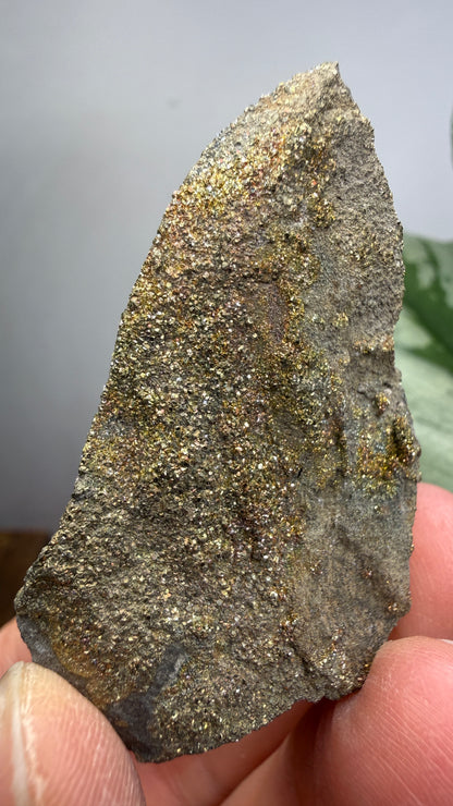 Rainbow Pyrite- Volga River, Ulyanovsk Oblast, Russia
