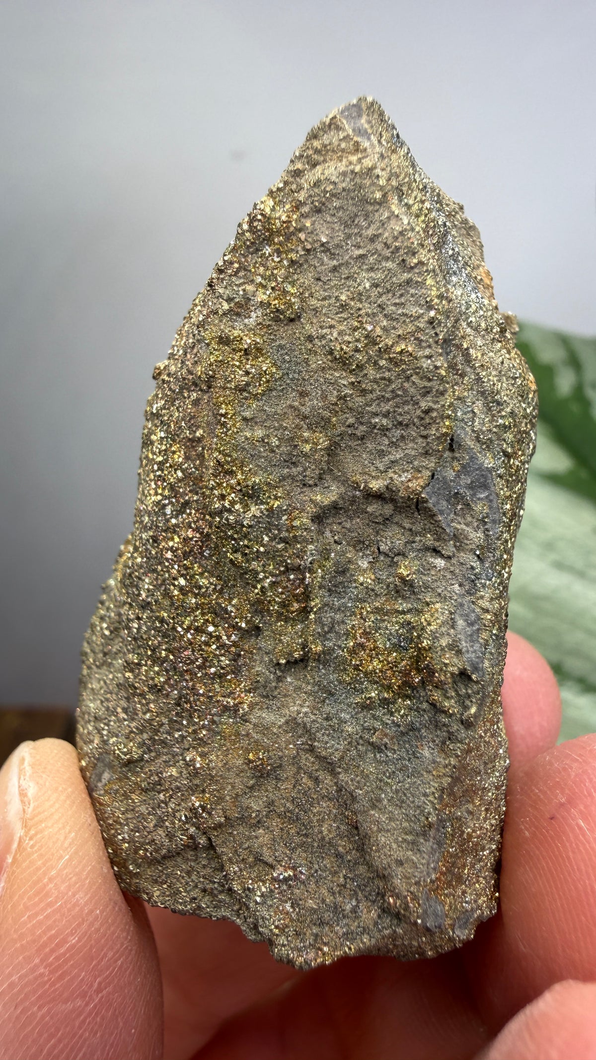 Rainbow Pyrite- Volga River, Ulyanovsk Oblast, Russia