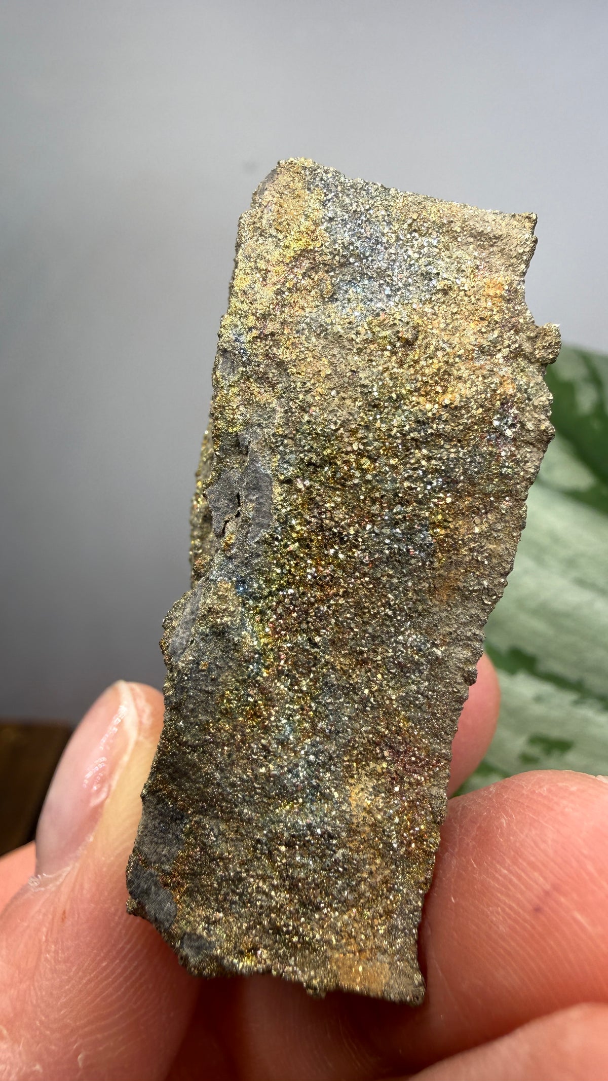 Rainbow Pyrite- Volga River, Ulyanovsk Oblast, Russia