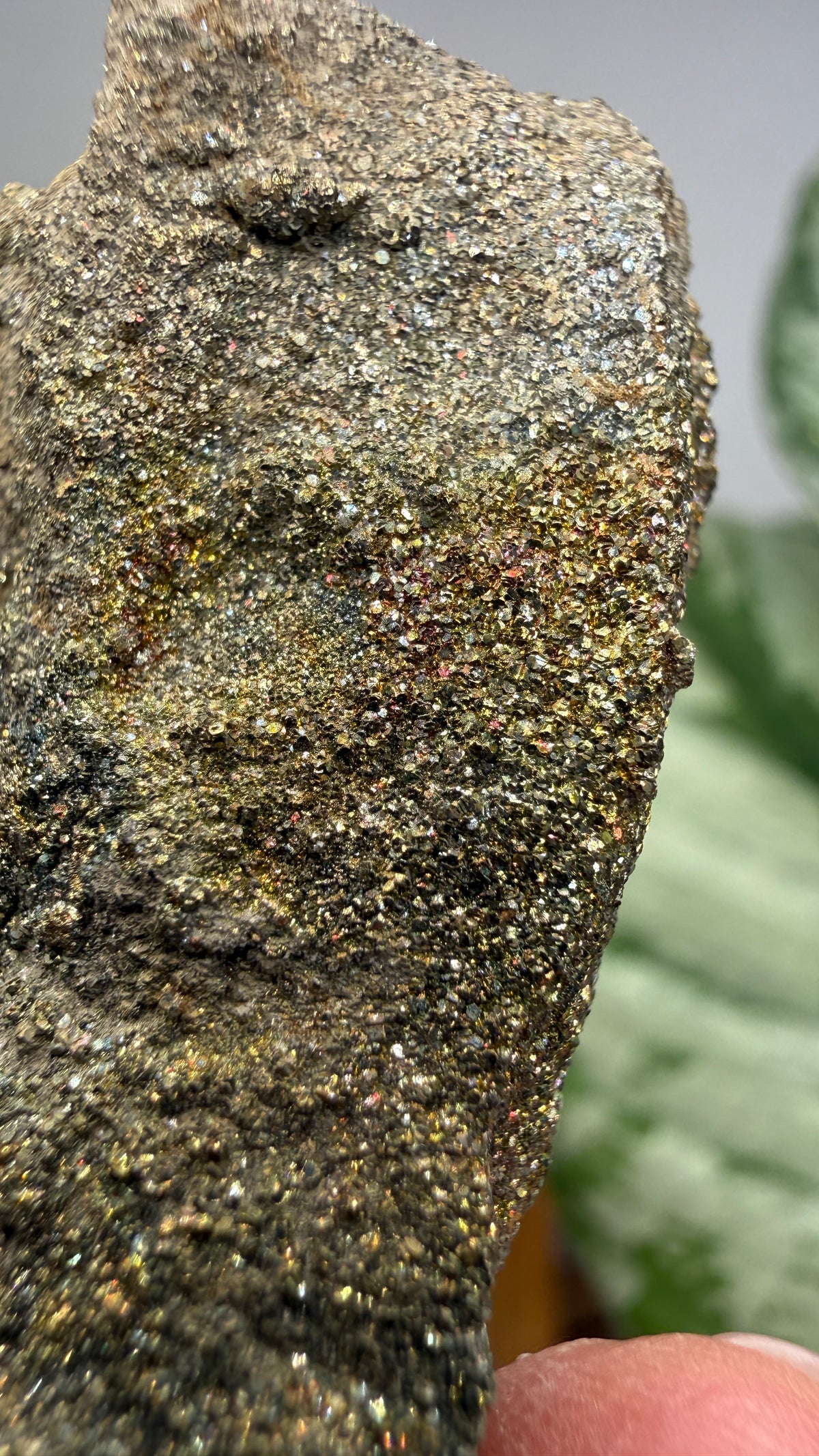 Rainbow Pyrite- Volga River, Ulyanovsk Oblast, Russia