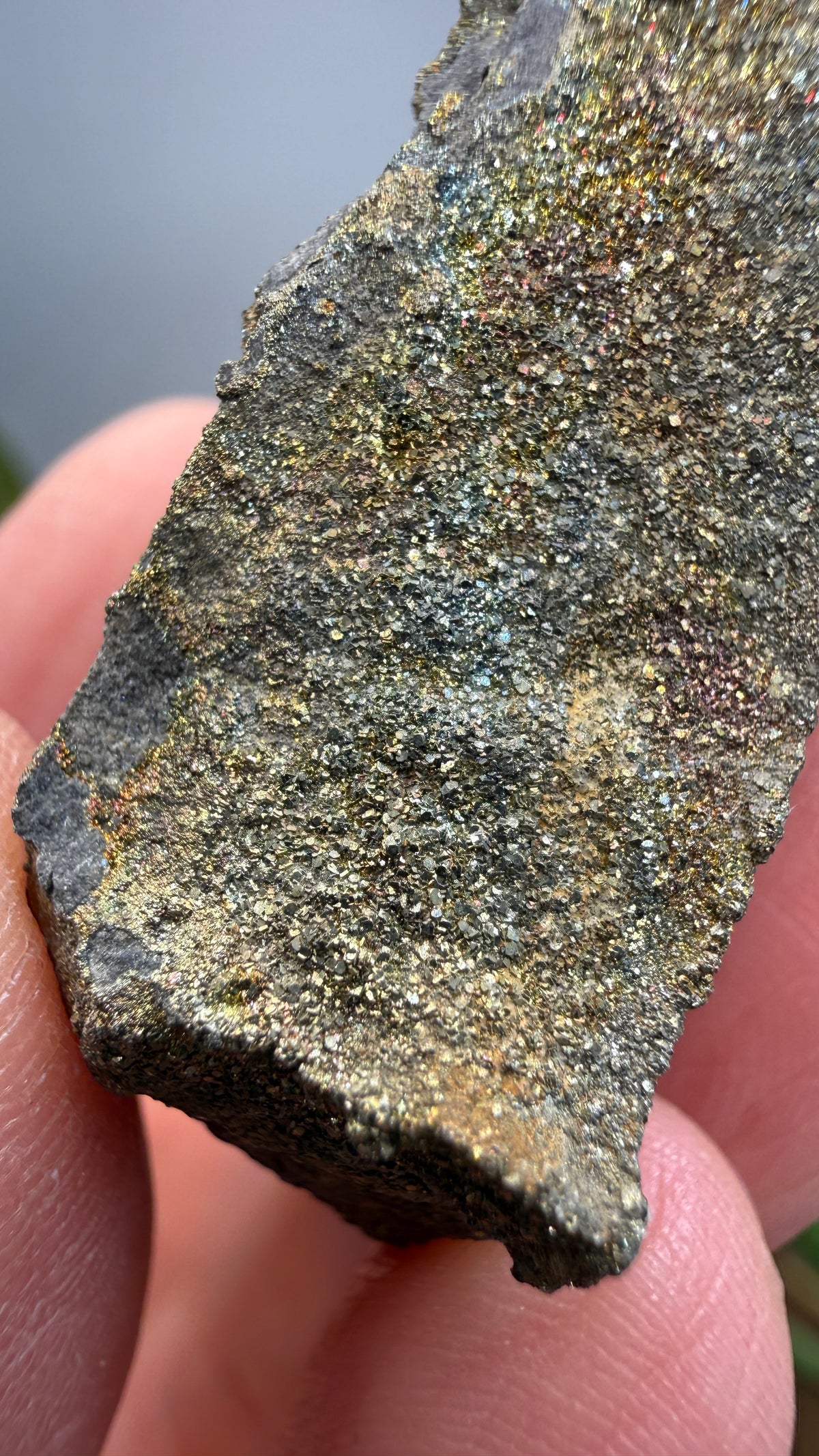 Rainbow Pyrite- Volga River, Ulyanovsk Oblast, Russia