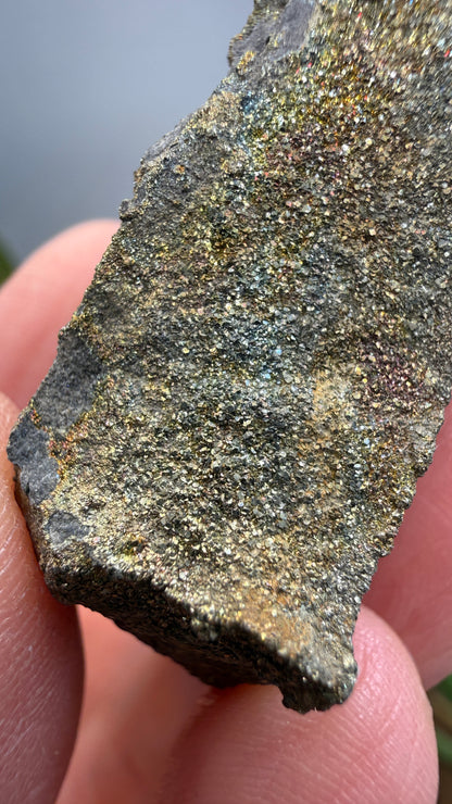 Rainbow Pyrite- Volga River, Ulyanovsk Oblast, Russia
