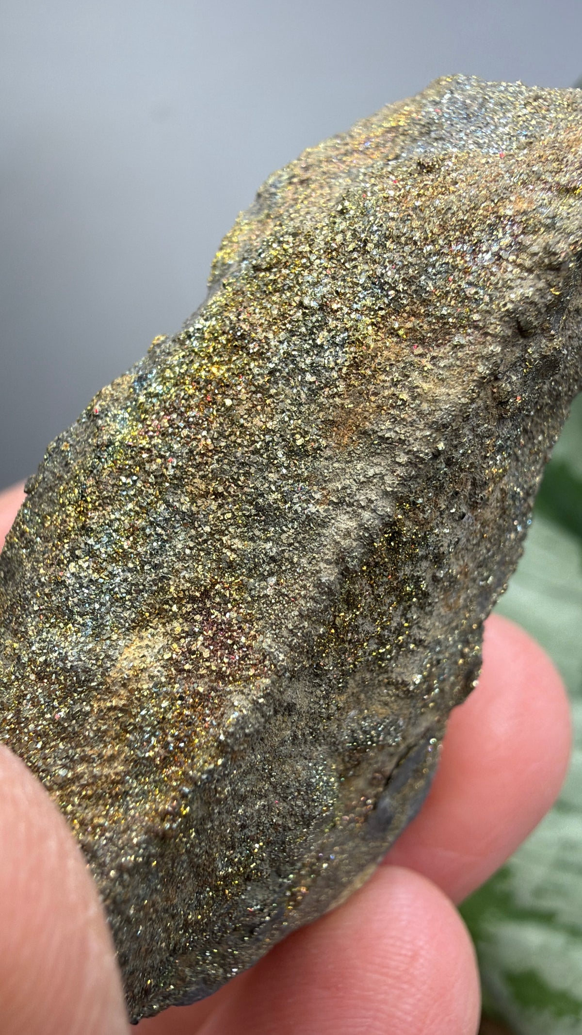 Rainbow Pyrite- Volga River, Ulyanovsk Oblast, Russia