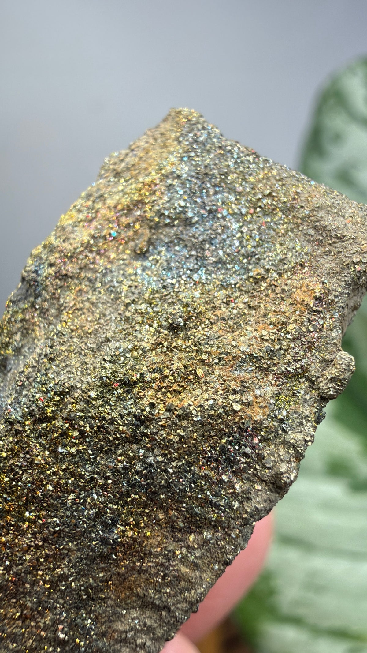 Rainbow Pyrite- Volga River, Ulyanovsk Oblast, Russia