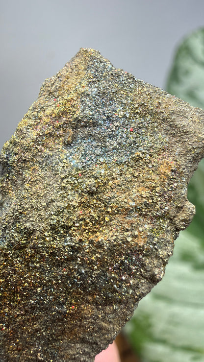 Rainbow Pyrite- Volga River, Ulyanovsk Oblast, Russia