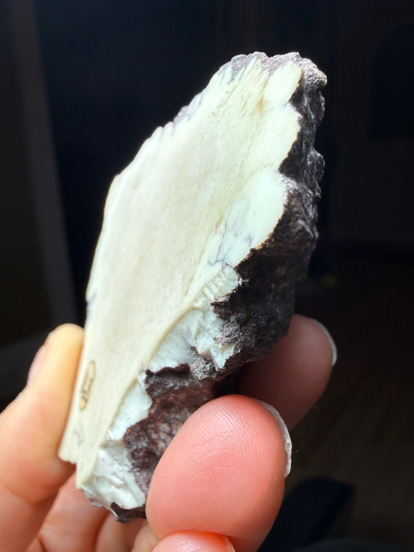 Datolite Specimen Slab- New Street Quarry, Paterson, Passaic County, New Jersey, USA