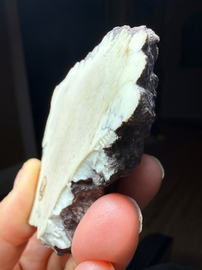 Datolite Specimen Slab- New Street Quarry, Paterson, Passaic County, New Jersey, USA