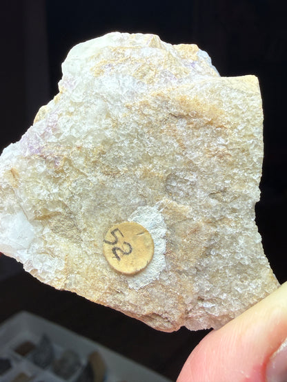 Fluorite, Baryte- Mundy's Landing, Woodford County, Kentucky, USA