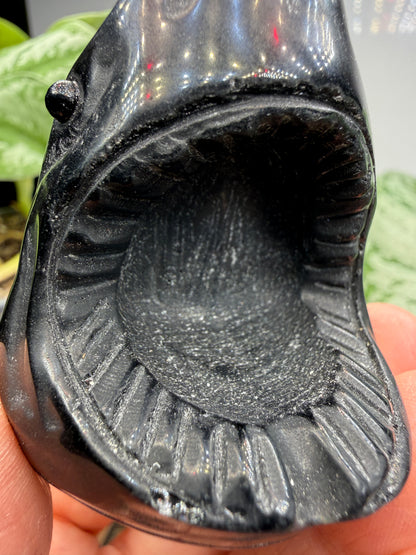 Obsidian Biting Shark- 2.4 inches