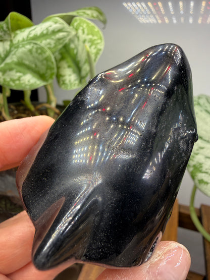 Obsidian Biting Shark- 2.4 inches