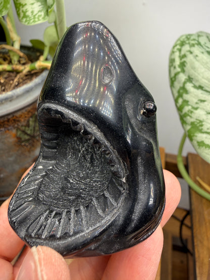 Obsidian Biting Shark- 2.4 inches