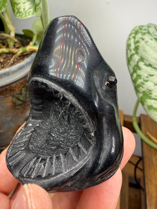 Obsidian Biting Shark- 2.4 inches